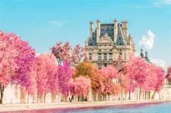 三亿娱乐 -魔兽世界德鲁伊形态外观